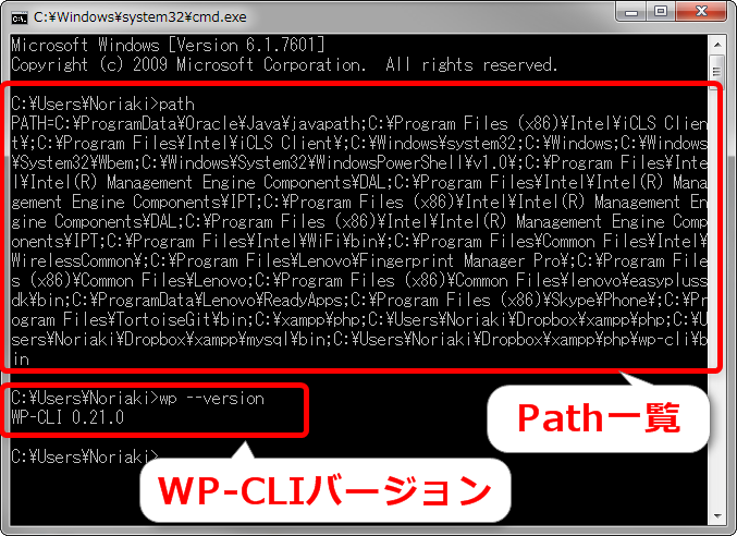 pathの実行とWP-CLIのバージョン表示