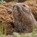 人生を変える方法は「脱獄」のようなものだと思う