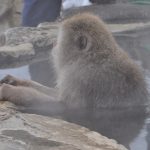 モバイルアプリのUIフレームワークOnsen UIでコンポーネントを設置するタグ