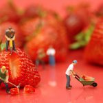 「働く」ということについて2年間考え続けてわかったこと