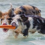 Word VBAでWithステートメントを使って同一オブジェクトの表記をスッキリ書く方法